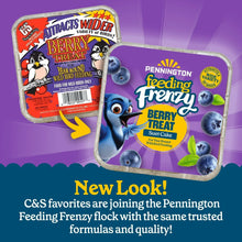 Berry suet cake foil tray showing Pennington Feeding Frenzy label with bluebird