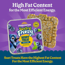 Berry suet cake tray with a close view of crumbly cake pieces beside packaging