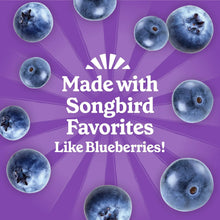 Berry suet cake packaging design with blueberry illustrations around the label