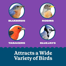 Bird-attracting suet cake packaging with circular icons for bluebirds, robins, tanagers