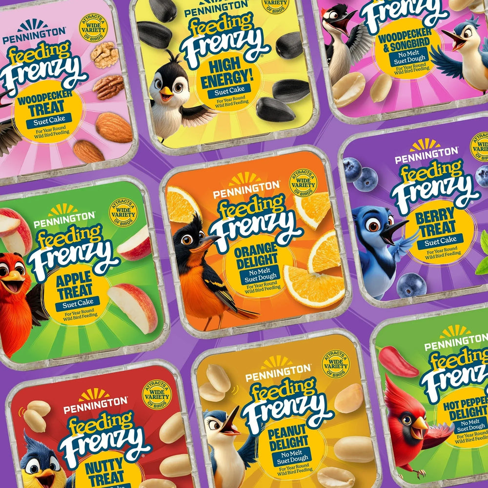 Pennington Feeding Frenzy Berry Treat Suet Cake, 11.75 oz, Suet Cakes for Wild Birds, Wild Bird Food, Fresh - USA MEGA SHOP
