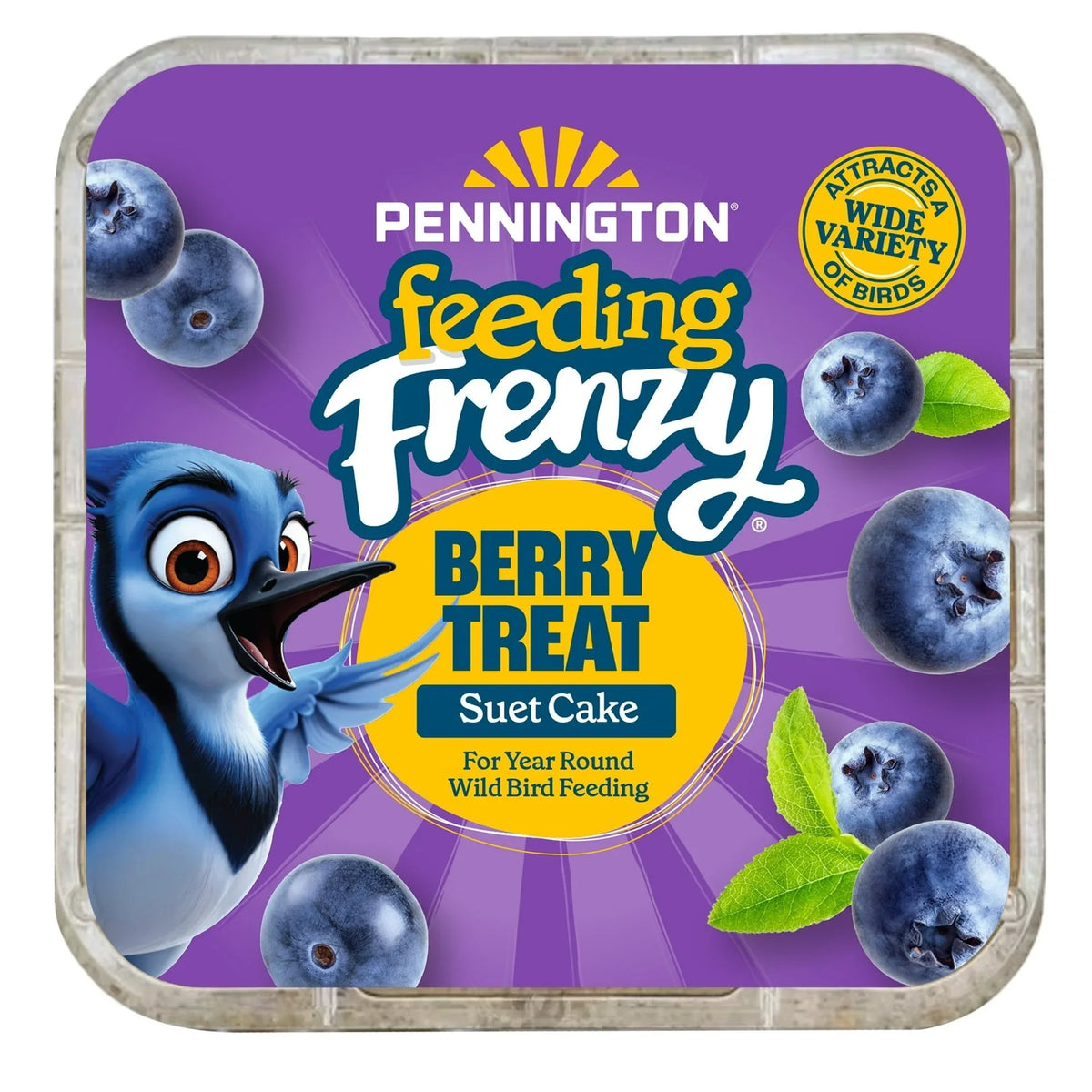 Pennington Feeding Frenzy Berry Treat Suet Cake, 11.75 oz, Suet Cakes for Wild Birds, Wild Bird Food, Fresh - USA MEGA SHOP