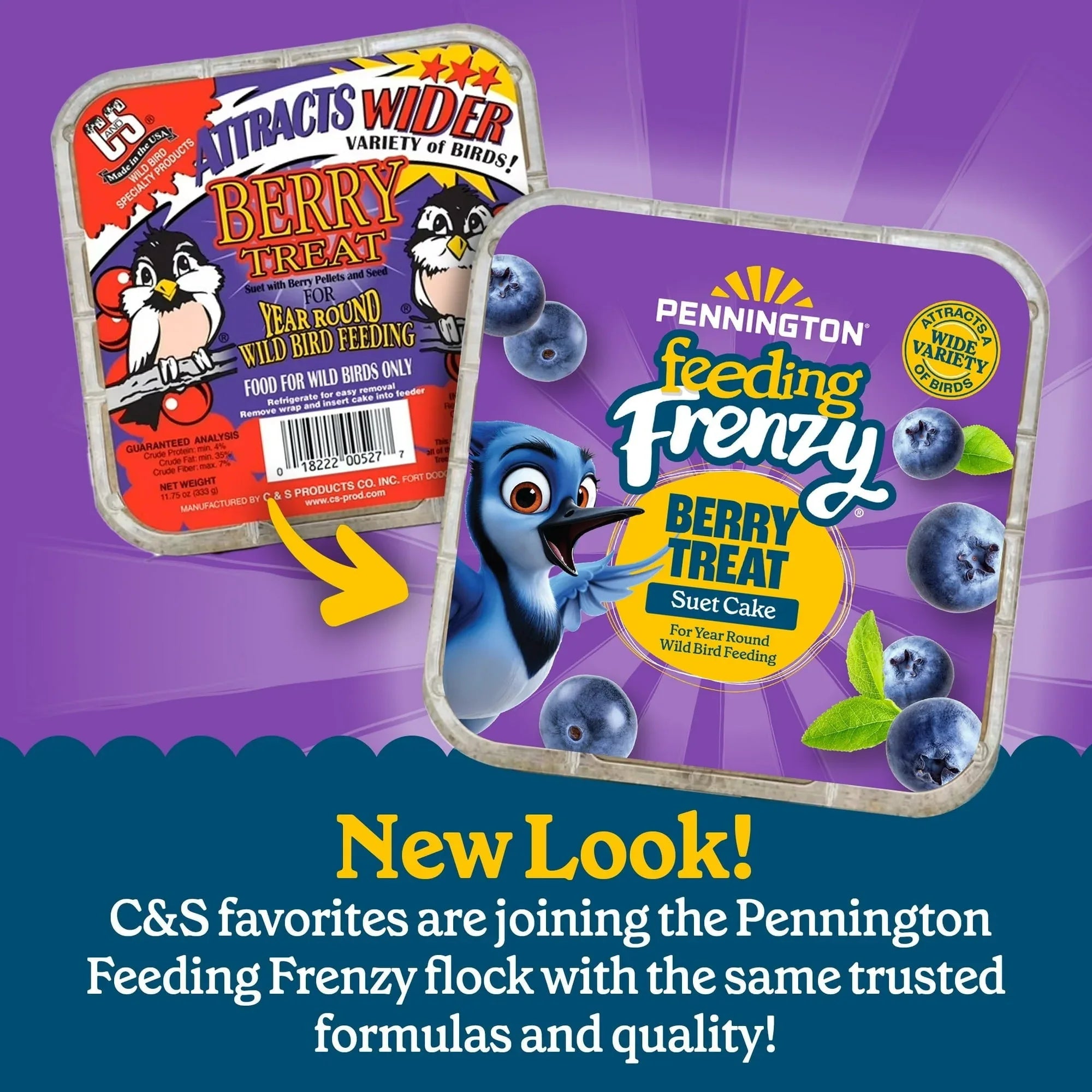 Pennington Feeding Frenzy Berry Treat Suet Cake, 11.75 oz, Suet Cakes for Wild Birds, Wild Bird Food, Fresh - USA MEGA SHOP
