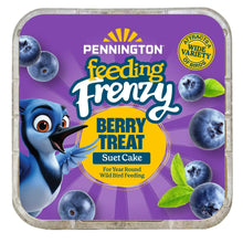 Berry suet cake in foil tray with blueberries and Feeding Frenzy branding