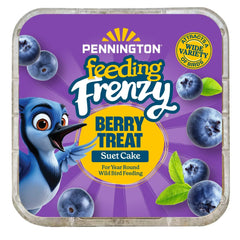 Pennington Feeding Frenzy Berry Treat Suet Cake, 11.75 oz, Suet Cakes for Wild Birds, Wild Bird Food, Fresh - USA MEGA SHOP