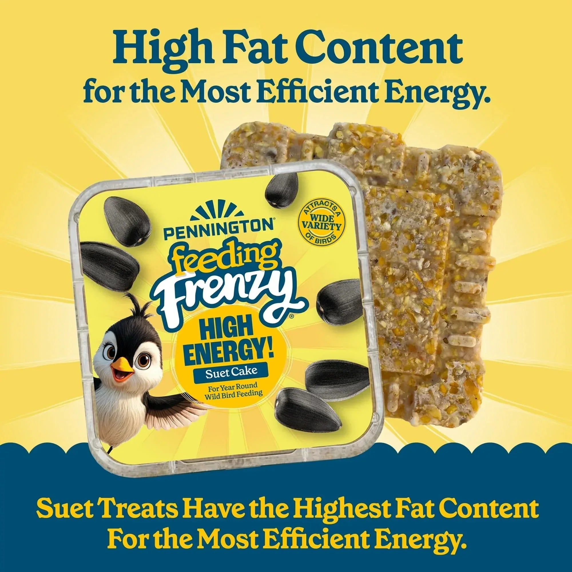 Pennington Feeding Frenzy High Energy Suet, for Year-Round Wild Bird Feeding, 11.75 oz. Cake, 8 Count Value Pack, Fresh - USA MEGA SHOP