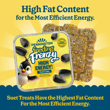 High-energy suet cake block with feeding frenzy suet multipack package