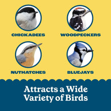 Bird-feeding suet package design with bird icons for attraction