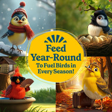 Bird-feeding suet seasonal promo graphic with year-round badge and birds