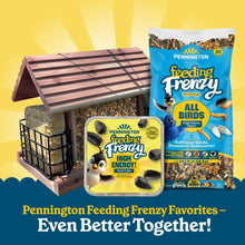 Suet feeder set with suet cake block and feeding bag packaging