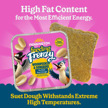 Pennington Feeding Frenzy woodpecker & songbird no-melt suet dough cake in package