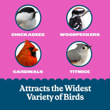 Feeding Frenzy suet dough for wild birds icons: chickadees, woodpeckers, cardinals, titmice