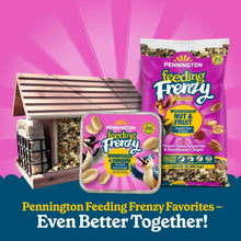 Pennington Feeding Frenzy favorites bundle with suet dough pouch and nut & fruit bag