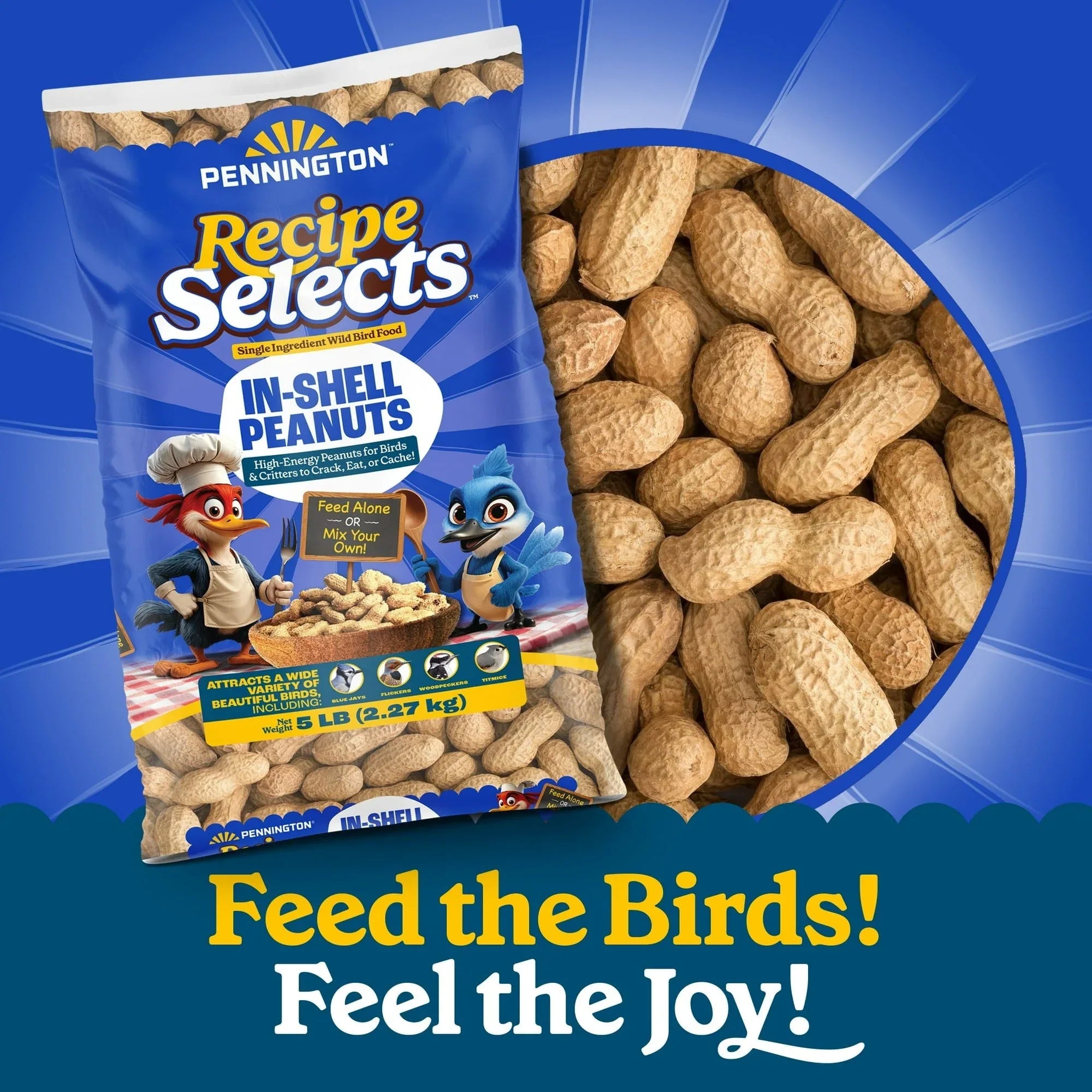 Pennington Recipe Selects Peanuts in Shell for Birds, Wildlife and Wild Bird Food, 5 lb. Bag, Dry, 1 Pack - USA MEGA SHOP