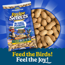 In-shell peanut bird food bag with large pile graphic on packaging design
