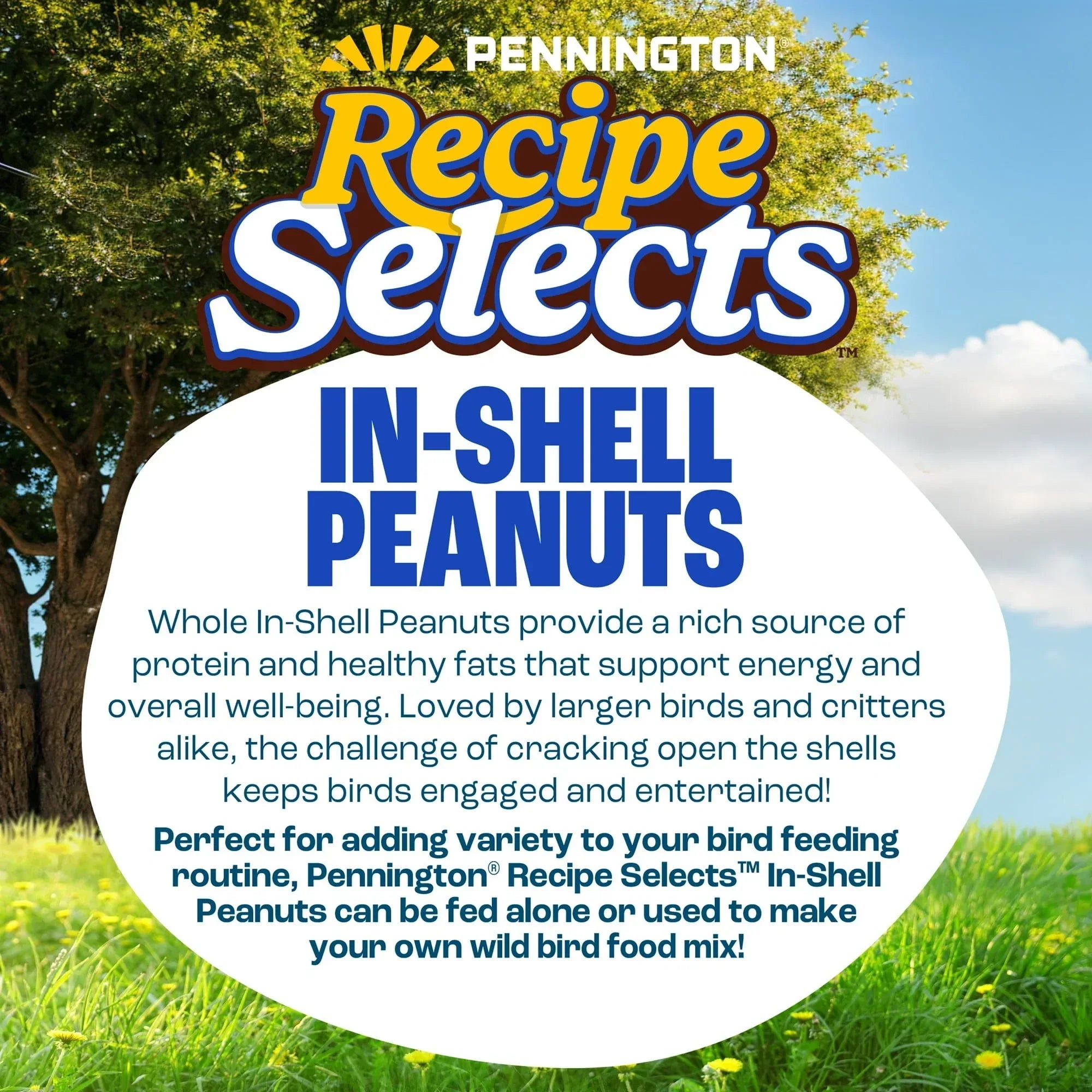 Pennington Recipe Selects Peanuts in Shell for Birds, Wildlife and Wild Bird Food, 5 lb. Bag, Dry, 1 Pack