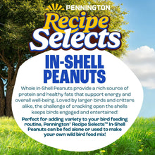 Pennington Recipe Selects in-shell peanuts bag, circular label text on front