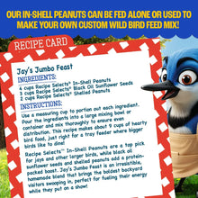 Recipe card graphic with in-shell peanut bird food mix directions, with bird mascot