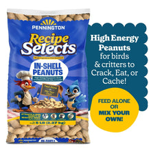 Pennington in-shell peanuts bird food bag with “High Energy Peanuts” callout