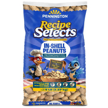 Pennington Recipe Selects in-shell peanuts bird food bag, front view with label details