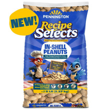 Pennington Recipe Selects in-shell peanut bird food bag, front view with characters