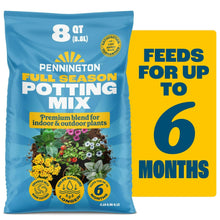 Blue potting soil mix bag, 8 qt, labeled for indoor and outdoor plants