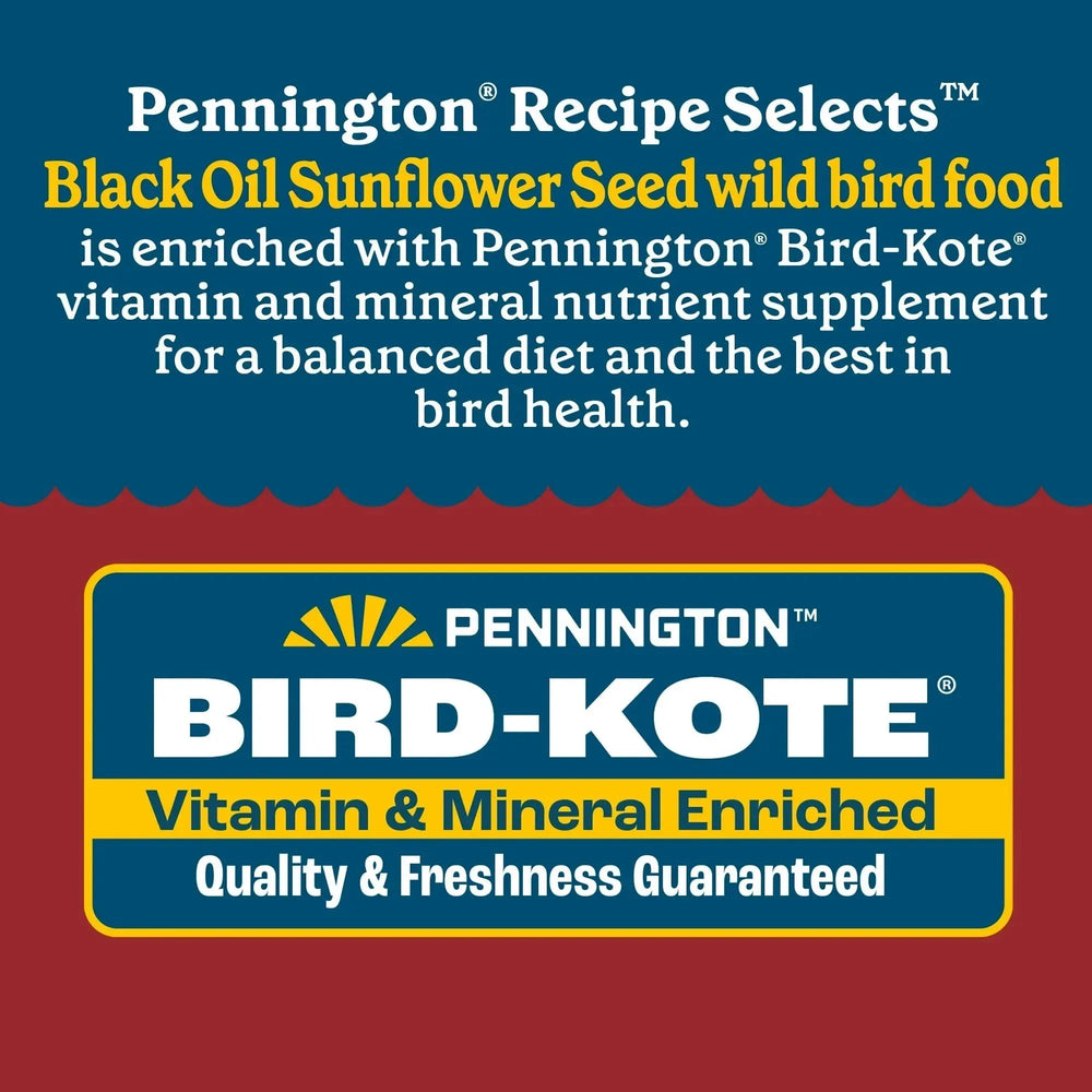 Pennington Recipe Selects Black Oil Sunflower Seed Dry Wild Bird Feed, Bird Food, 1 Pack - USA MEGA SHOP