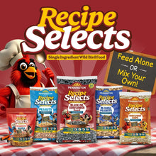 Pennington Recipe Selects bird food assortment packs with Recipe Selections text and mascot.