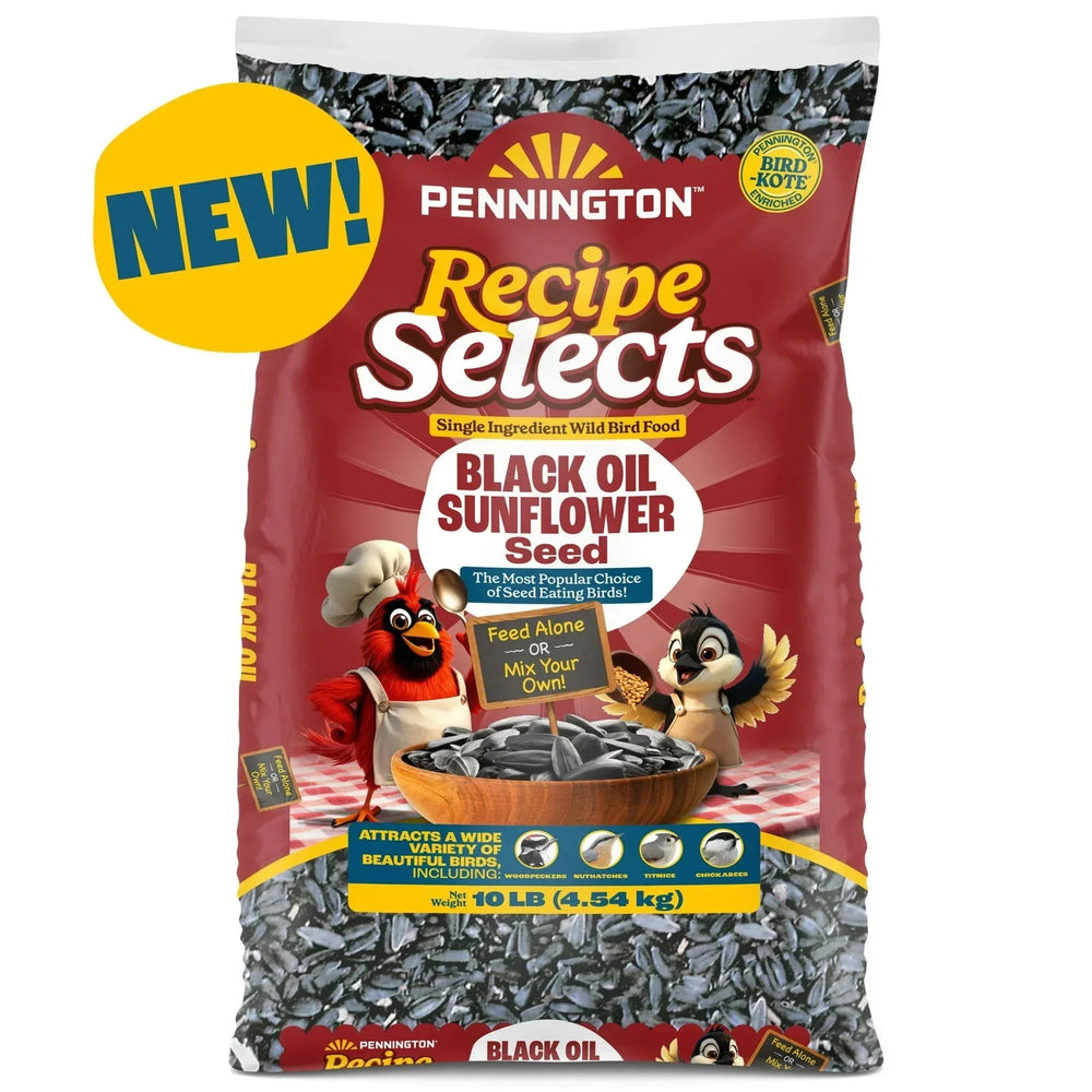 Pennington Recipe Selects Black Oil Sunflower Seed Dry Wild Bird Feed, Bird Food, 1 Pack - USA MEGA SHOP
