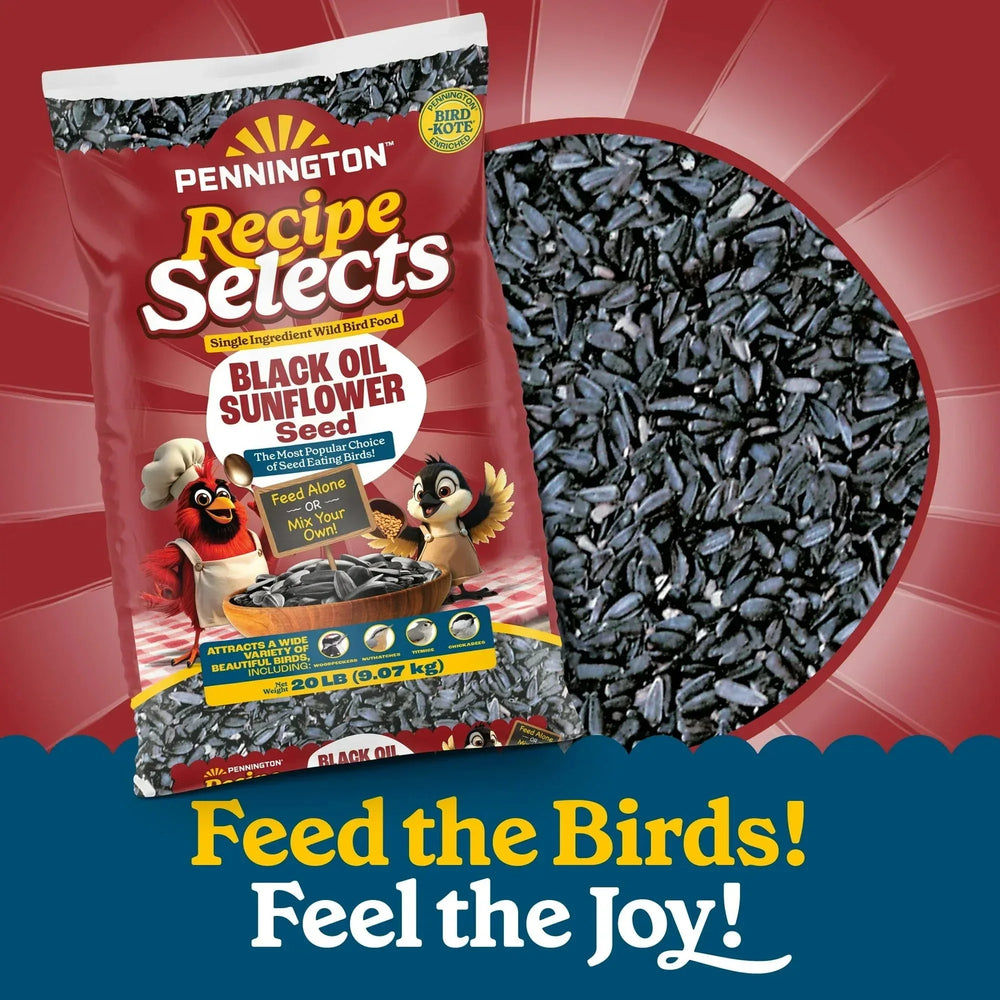 Pennington Recipe Selects Black Oil Sunflower Seed Dry Wild Bird Feed, Bird Food, 1 Pack - USA MEGA SHOP