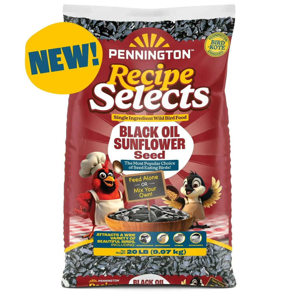 Pennington Recipe Selects Black Oil Sunflower Seed Dry Wild Bird Feed, Bird Food, 1 Pack - USA MEGA SHOP