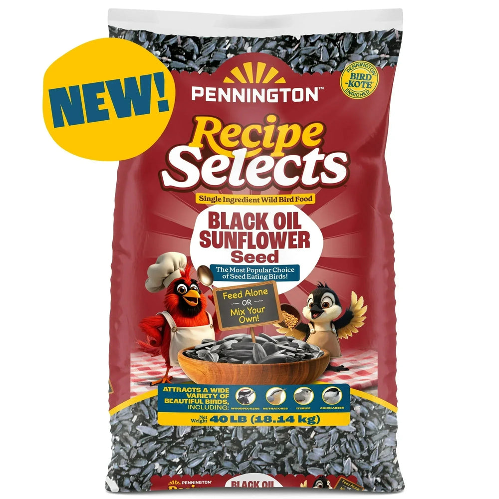 Pennington Recipe Selects Black Oil Sunflower Seed Dry Wild Bird Feed, Bird Food, 1 Pack - USA MEGA SHOP