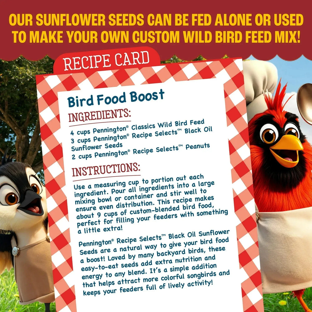 Pennington Recipe Selects Black Oil Sunflower Seed Dry Wild Bird Feed, Bird Food, 1 Pack - USA MEGA SHOP