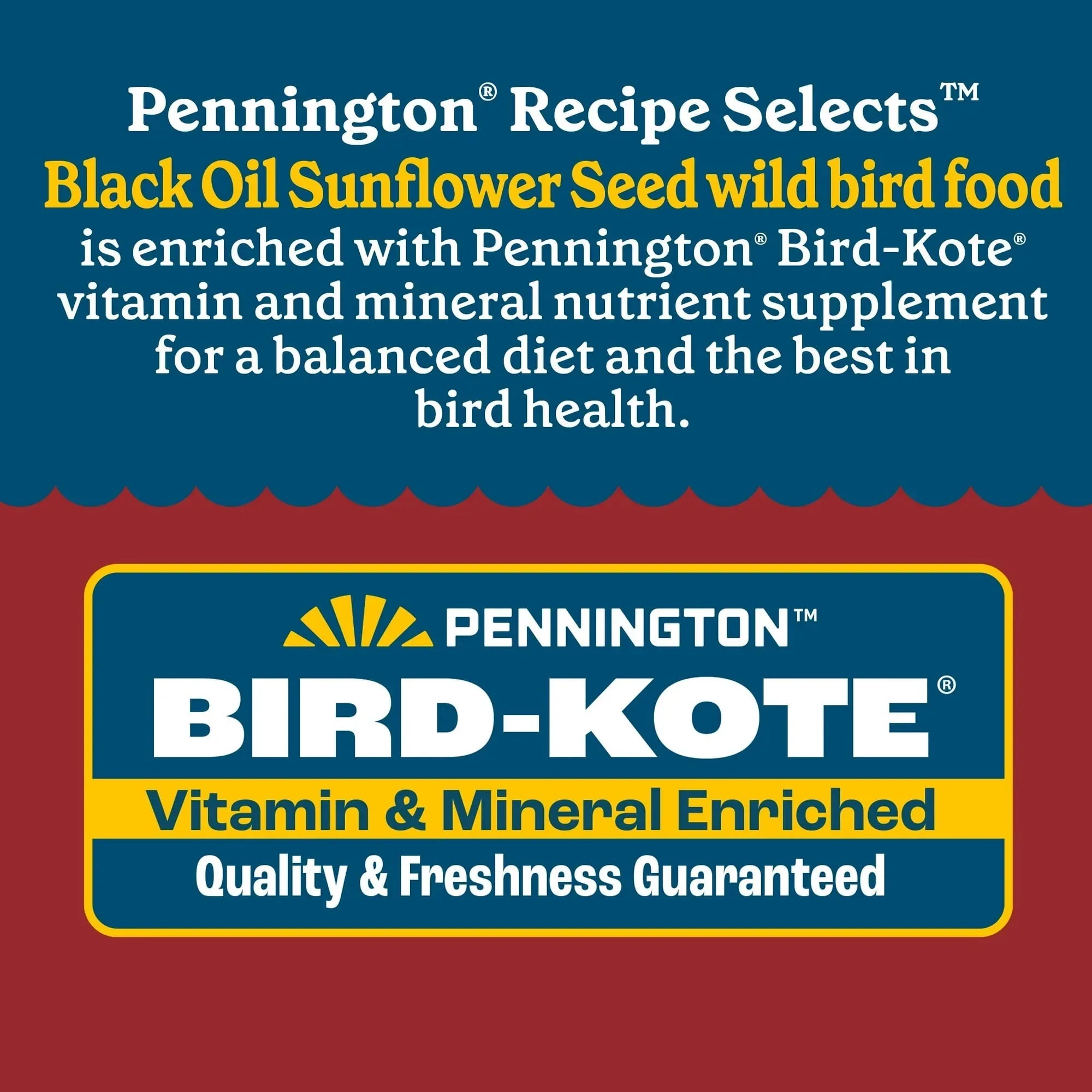 Pennington Recipe Selects Black Oil Sunflower Seed Dry Wild Bird Feed, Bird Food, 1 Pack