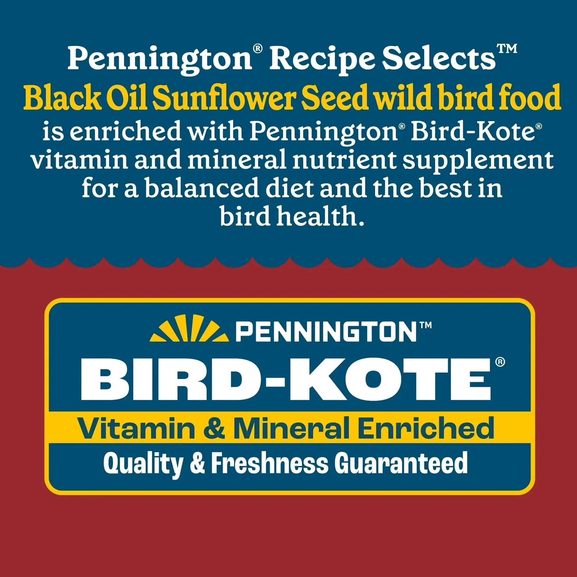 Pennington Recipe Selects Black Oil Sunflower Seed Dry Wild Bird Feed, Bird Food, 1 Pack - USA MEGA SHOP