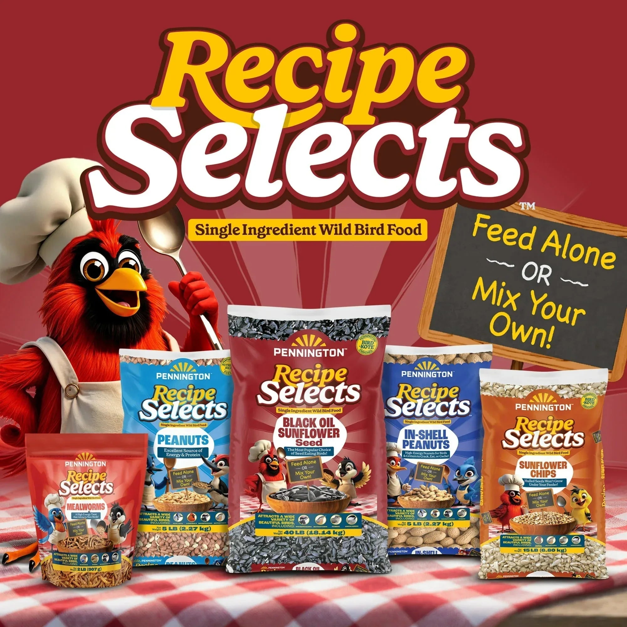 Pennington Recipe Selects Black Oil Sunflower Seed Dry Wild Bird Feed, Bird Food, 1 Pack