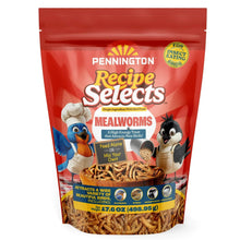 Red mealworms bird food pouch, Pennington Recipe Selects front with mealworms label