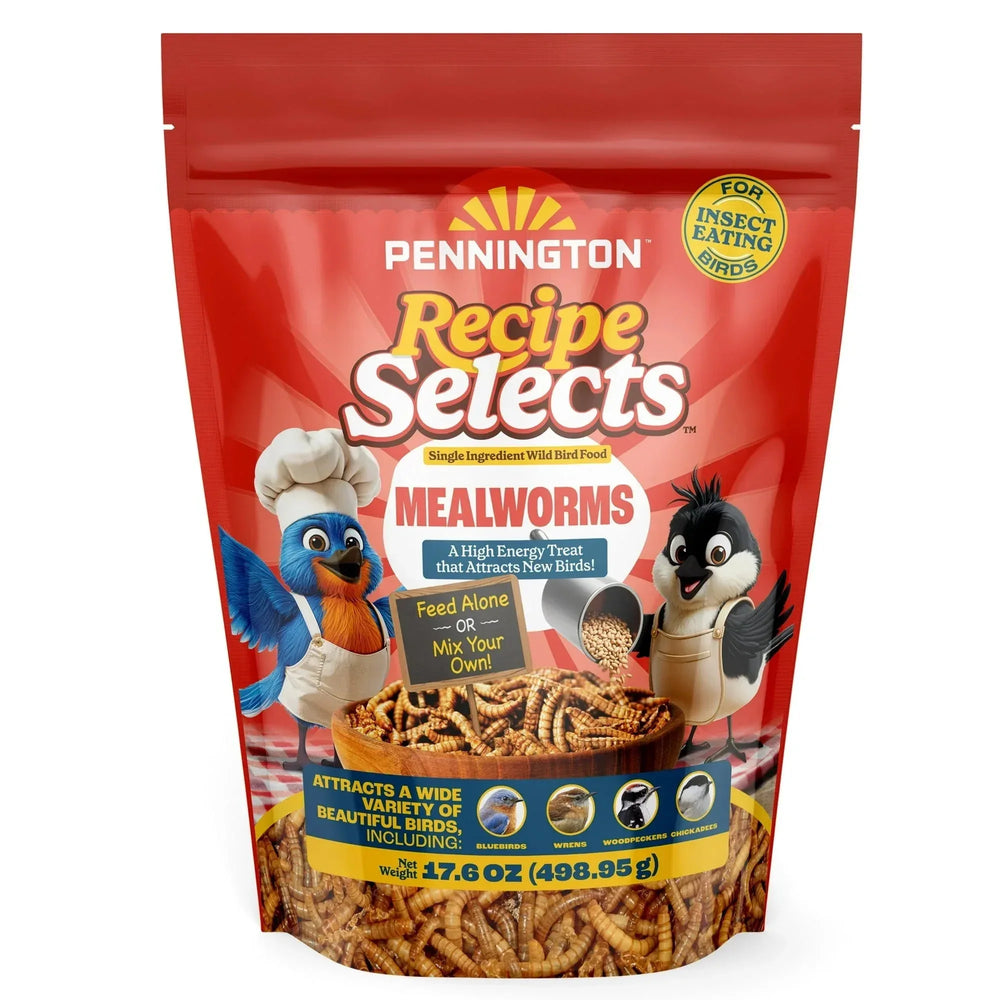 Pennington Recipe Selects Dried Mealworms for Birds, Bluebird and Wild Bird Food for Outside Feeder, 17.6 oz Bag, 1 Pack - USA MEGA SHOP