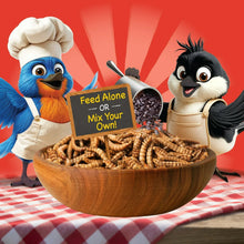 Dried mealworms in wooden bowl with cartoon bluebird and black-and-white bird