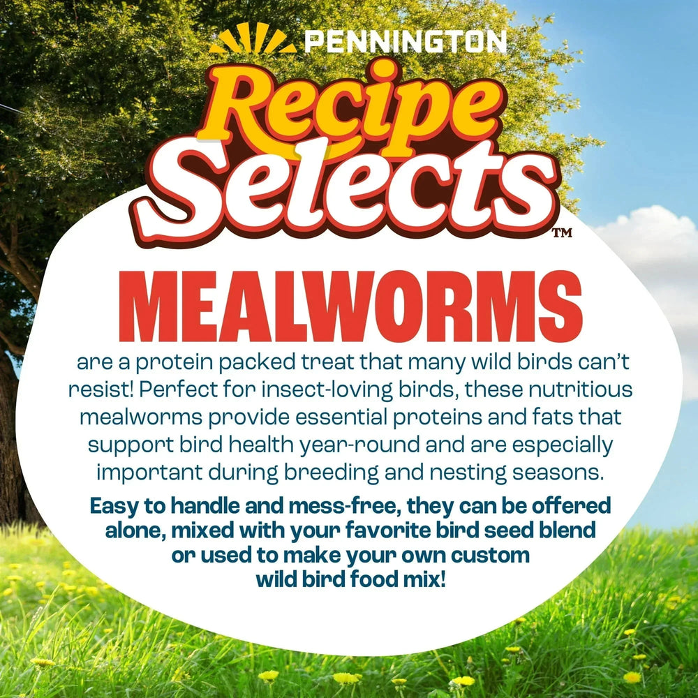 Pennington Recipe Selects Dried Mealworms for Birds, Bluebird and Wild Bird Food for Outside Feeder, 17.6 oz Bag, 1 Pack - USA MEGA SHOP