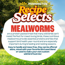 Pennington Recipe Selects Mealworms product info circle with text and insect badge