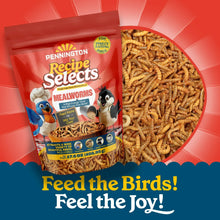 Red Pennington mealworms pouch beside a pile of dried mealworms