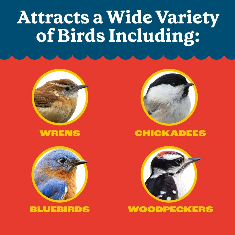 Pennington Recipe Selects Dried Mealworms for Birds, Bluebird and Wild Bird Food for Outside Feeder, 17.6 oz Bag, 1 Pack - USA MEGA SHOP