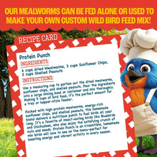 Mealworm recipe card graphic with ingredients and instructions next to cartoon bird