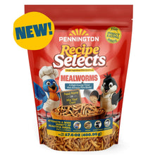 Red mealworms bird food pouch with Pennington Recipe Selects branding and cartoon birds