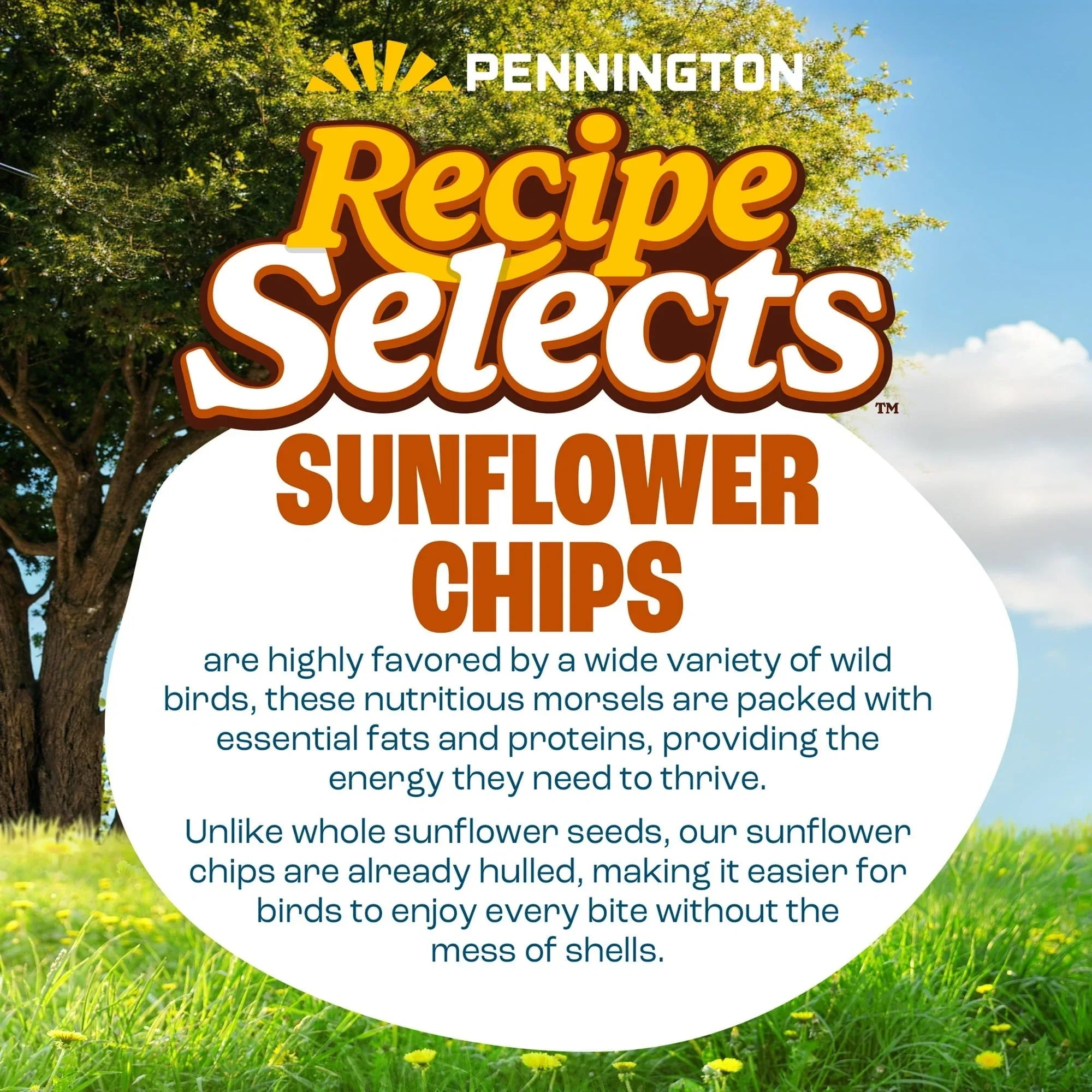Pennington Recipe Selects Sunflower Chips, Dry Wild Bird Food and Seed, 5 lb. Bag, 1 Pack - USA MEGA SHOP