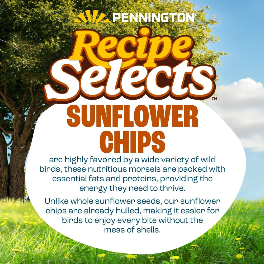 Pennington Recipe Selects Sunflower Chips, Dry Wild Bird Food and Seed, 5 lb. Bag, 1 Pack - USA MEGA SHOP