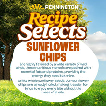 Sunflower chips wild bird food label panel with product description in a circle