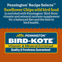 Pennington Bird-Kote vitamin and mineral enriched sunflower wild bird food bag label