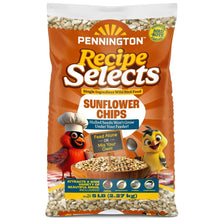 Sunflower chips wild bird food bag, orange and white with feeding callouts